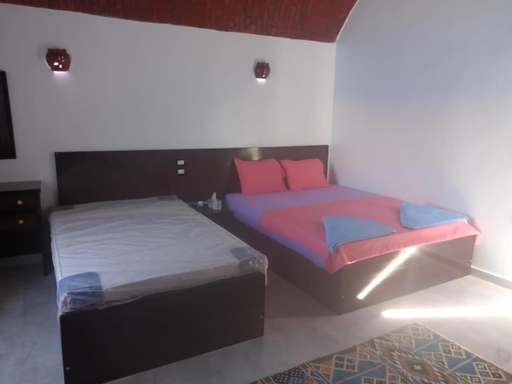 Kafana Guest House Nile View Assuan Exterior foto